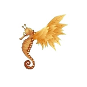 Orange Featherwing Seahorse